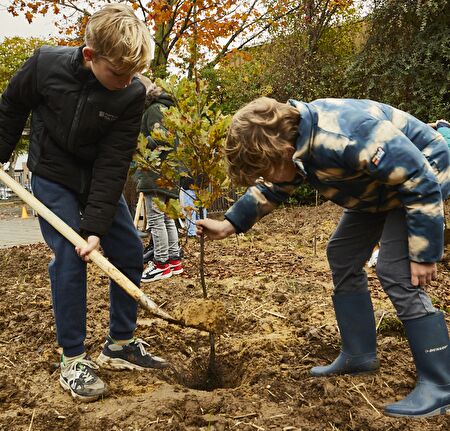 NEDLIN_TINYFORREST_251A5316-tiny-forest-elsloo-kinderen-planten