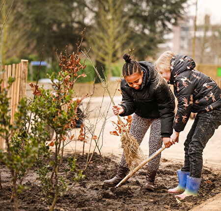 Nedlin Tiny Forest Het Parelbos Brunssum-18 V2.jpg