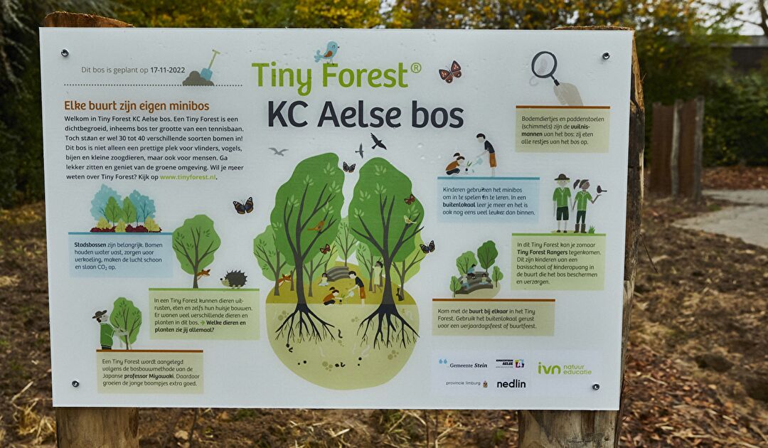 NEDLIN_TINYFORREST_251A5287-Tiny-Forest-bord-Elsloo