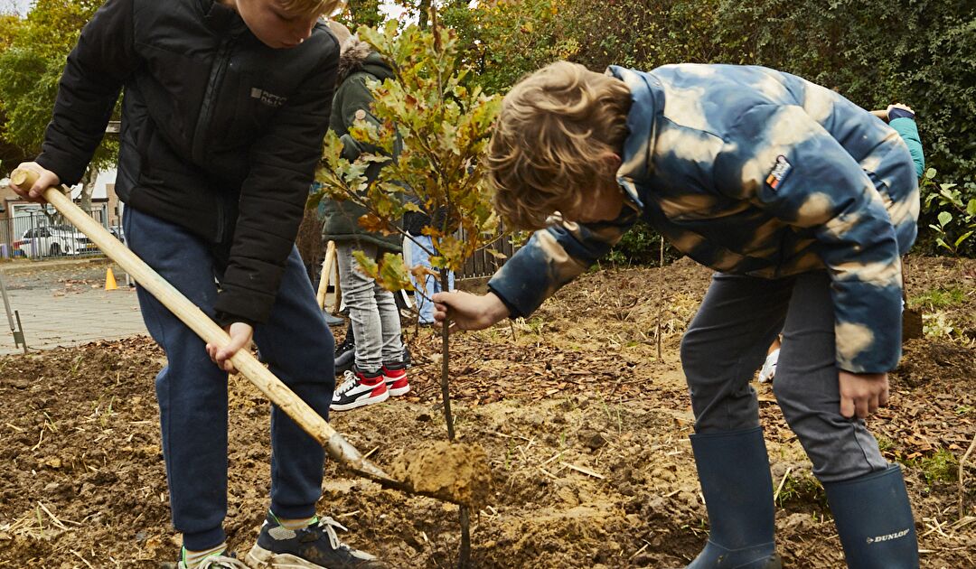 NEDLIN_TINYFORREST_251A5316-tiny-forest-elsloo-kinderen-planten