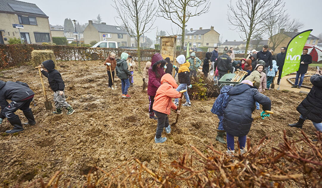 Tiny-Forest-NEDLIN_TF_VAALS_251A8910.jpg
