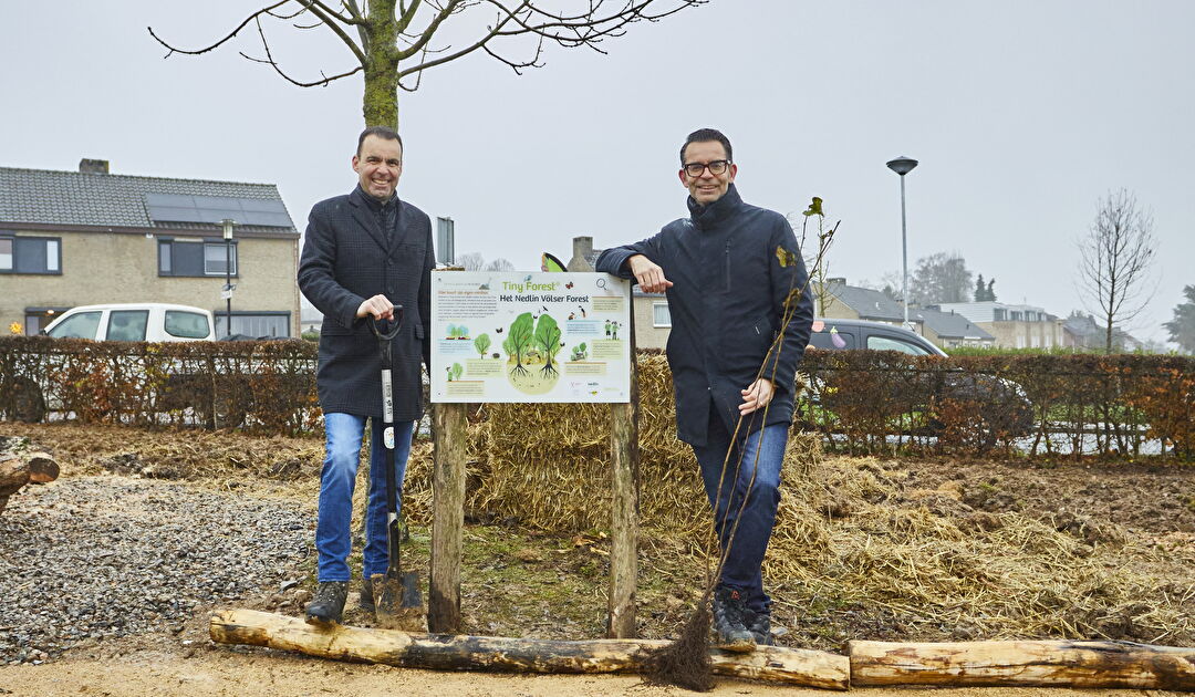 Tiny-Forest-NEDLIN_TF_VAALS_251A8946.jpg