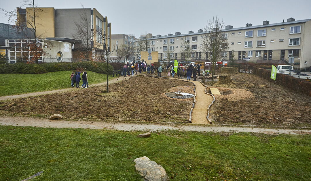 Tiny-Forest-NEDLIN_TF_VAALS_251A8968.jpg